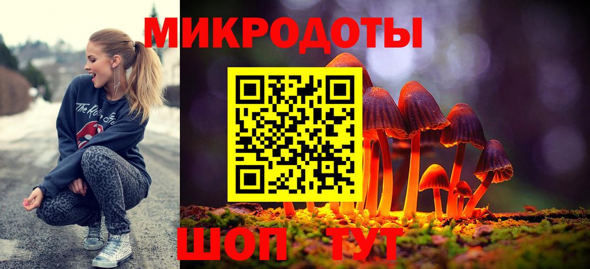 Галлюциногенные грибы Psilocybe Донецк